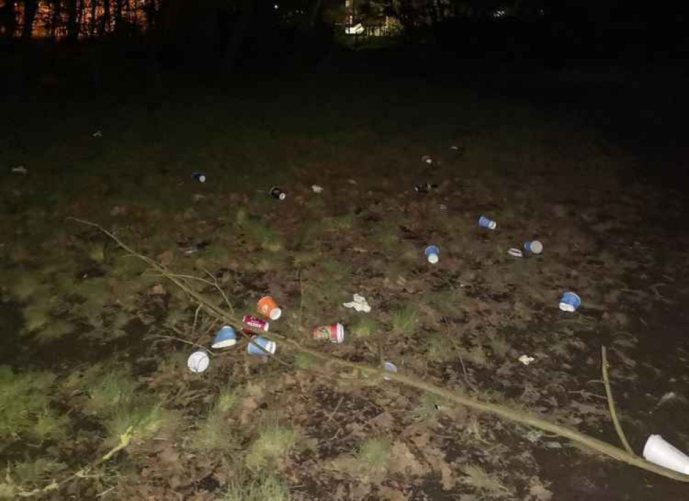 Tooting Common in January