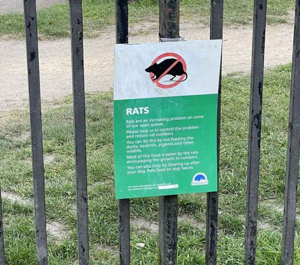 New signage to deter the rat population New signage to deter the rat population