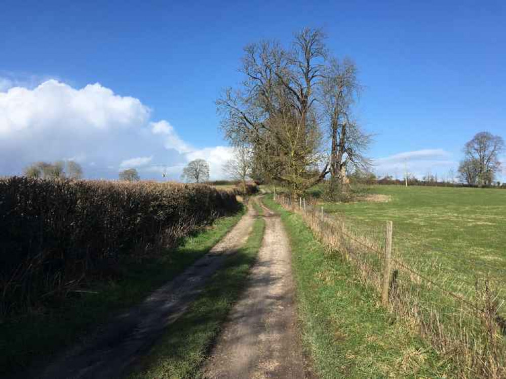 We want to hear where your favourite walking routes in and around the town are