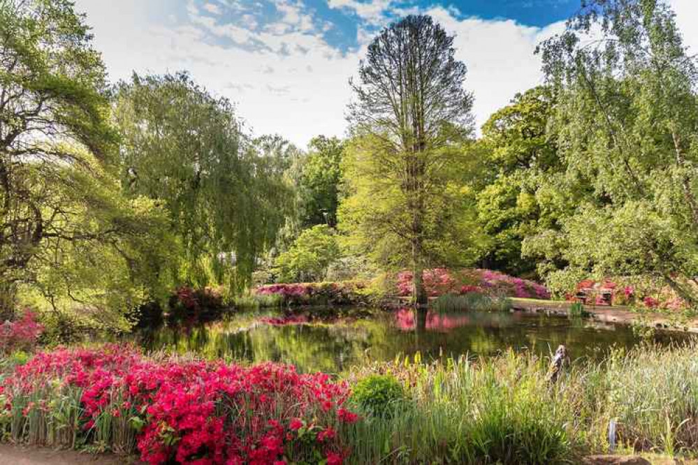 Richmond Park already has Royal Park status so it's more like 21 amazing parks :)