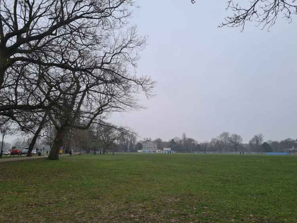 Marble Hill Park on New Year's Day