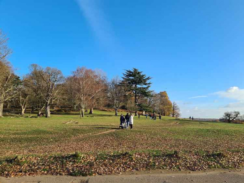 Stunning Richmond Park Stunning Richmond Park