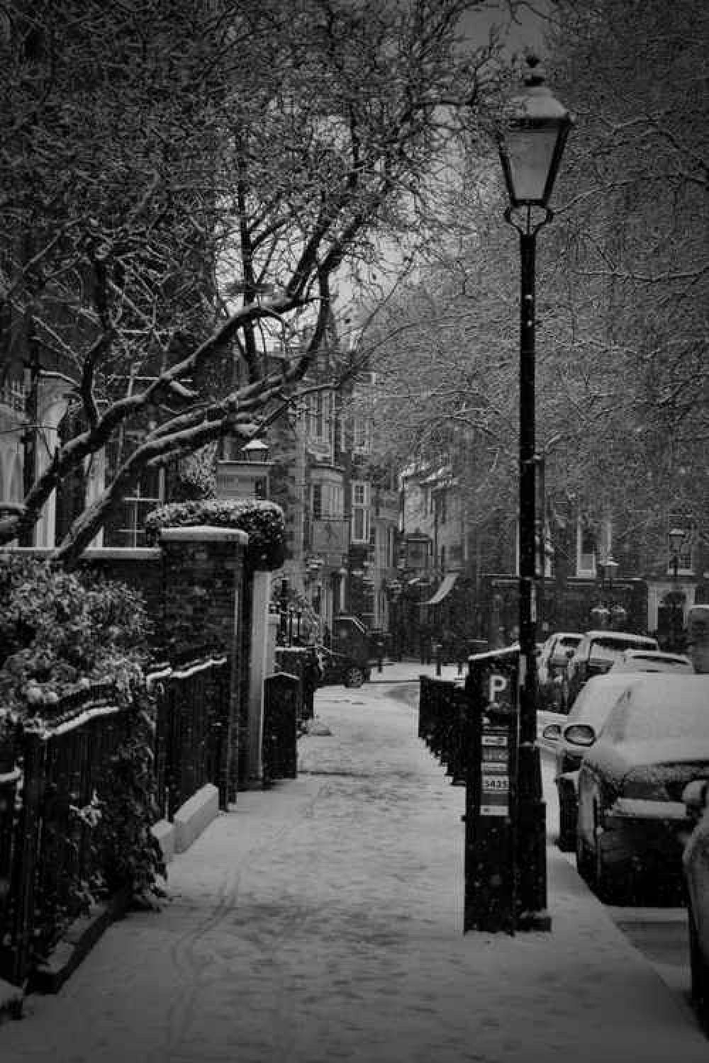 The road off Richmond Green looking most atmospheric