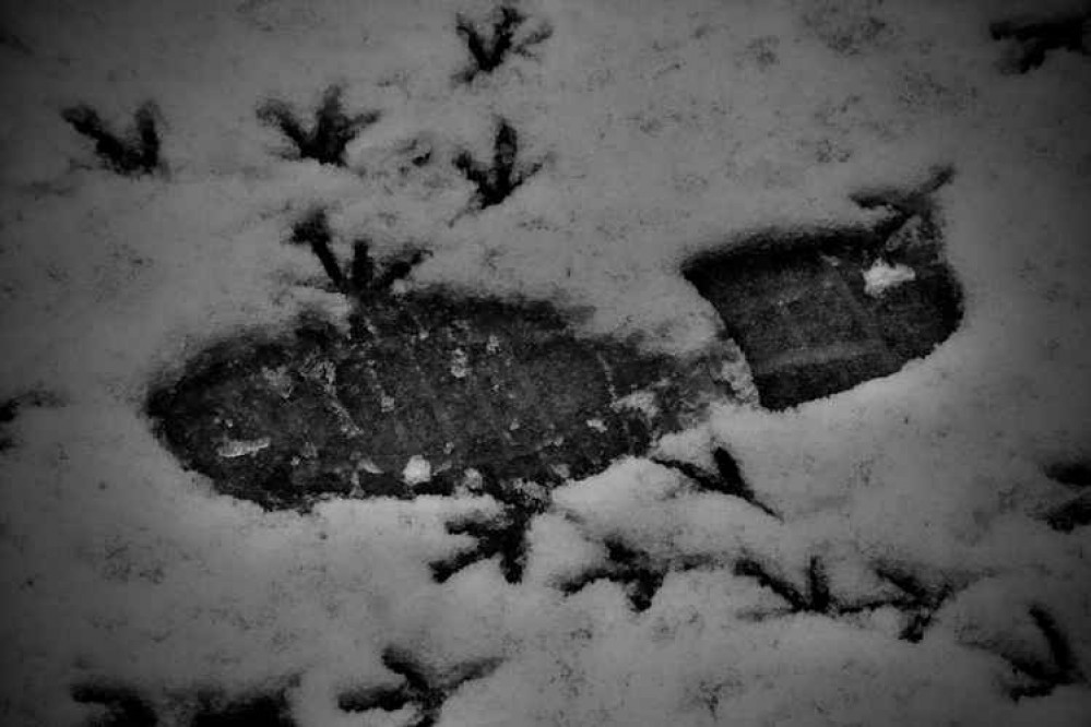 Footprint in the snow