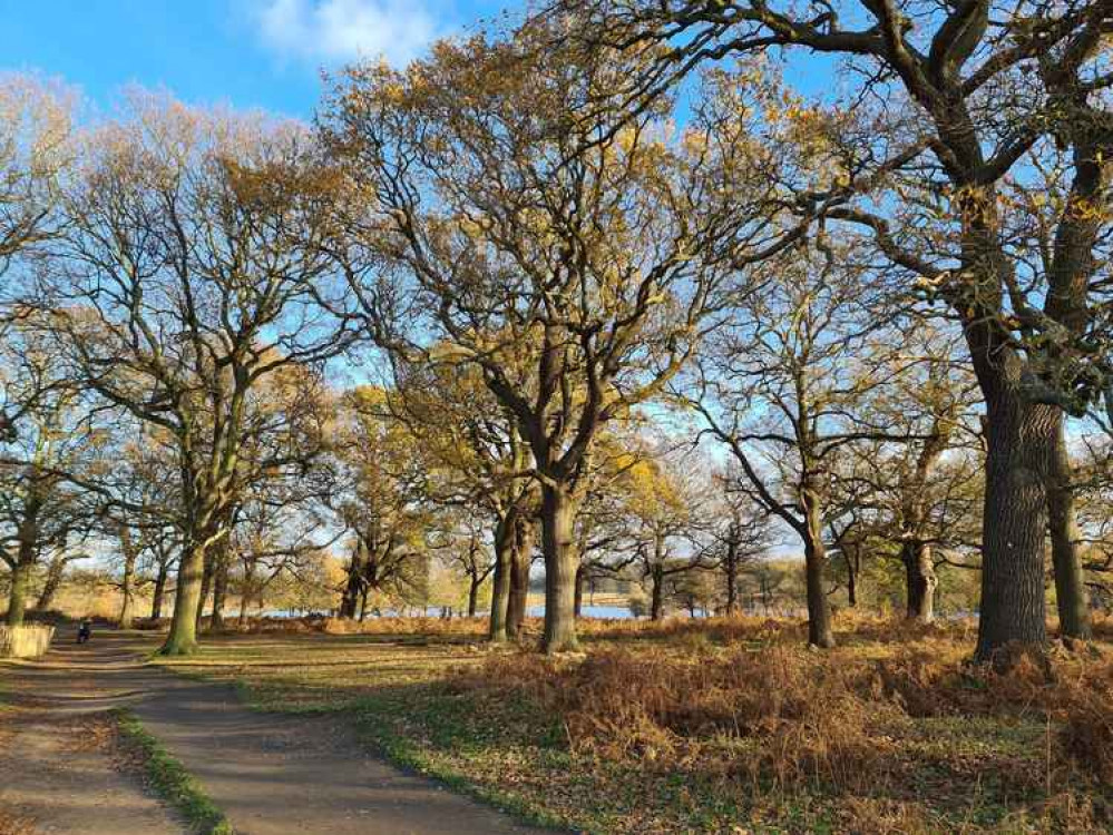 Richmond Park