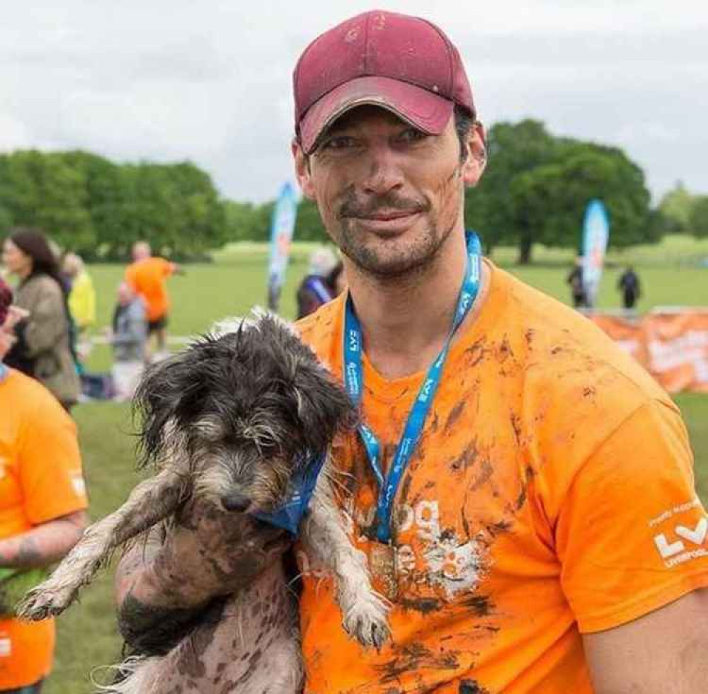 Gandy and Dora regularly run together (Credit: Muddy Dogs) Gandy and Dora regularly run together (Credit: Muddy Dogs)