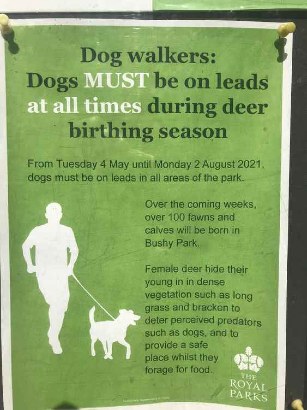 Dogs must be kept on leads through the summer months (Credit: Rory Poulter) Dogs must be kept on leads through the summer months (Credit: Rory Poulter)