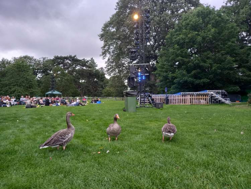 The Kew geese enjoyed the show too! (Image: Jessica Broadbent Nub News)