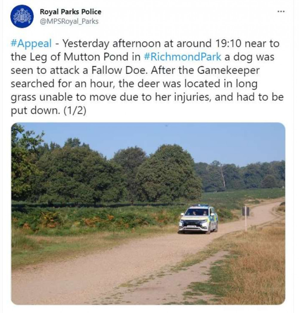 Credit: Royal Parks Police. Credit: Royal Parks Police.