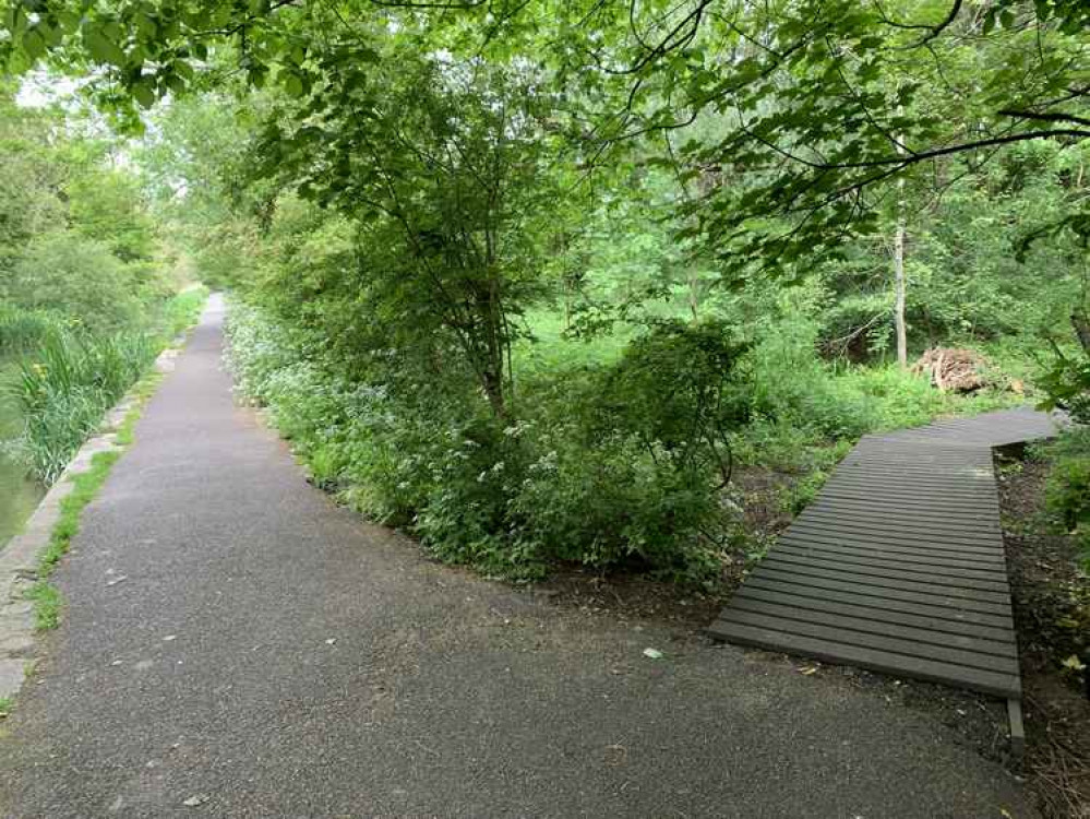 The boardwalk to the right into the nature reserve