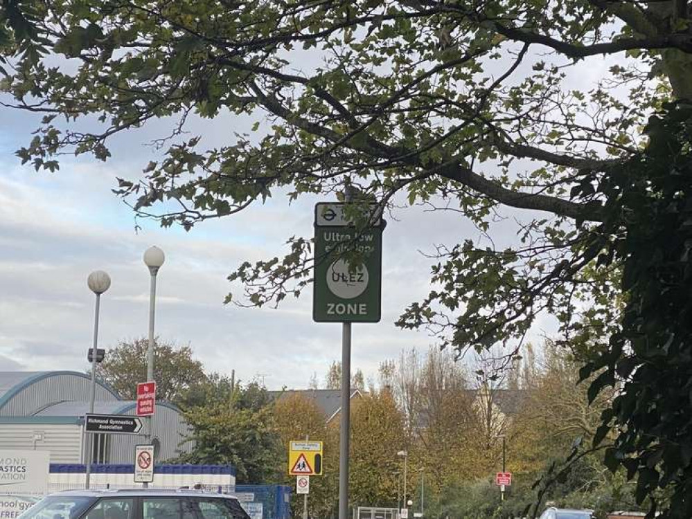 Branches Blocking One Of The Ulez Signs In Mortlake. Credit: James Mayer.