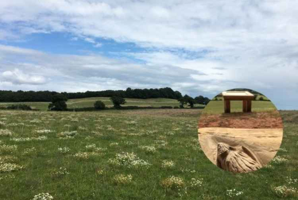 The countryside park, with (inset) one of the wood carvings on the Lookout frame. Picture: Teignbridge District Council.