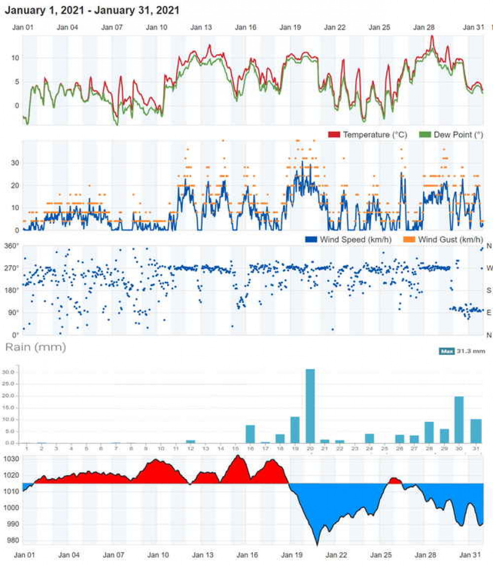 The graph showing the weather trends for January 2021