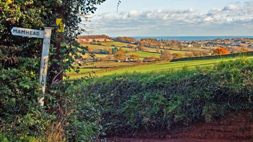 Picture by Teignmouth and Dawlish Ramblers