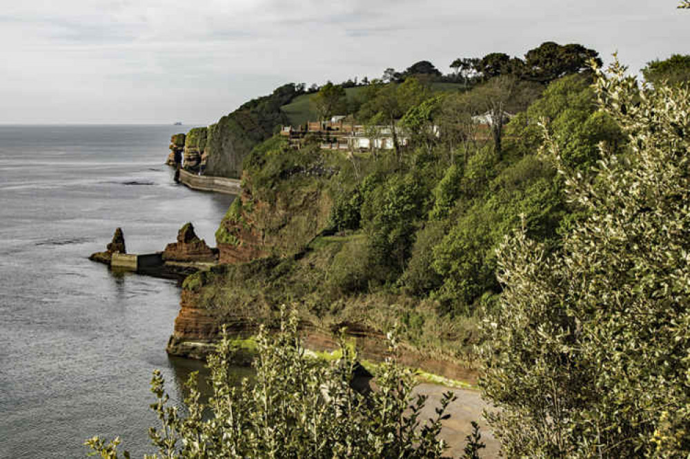 Picture by Teignmouth and Dawlish Ramblers