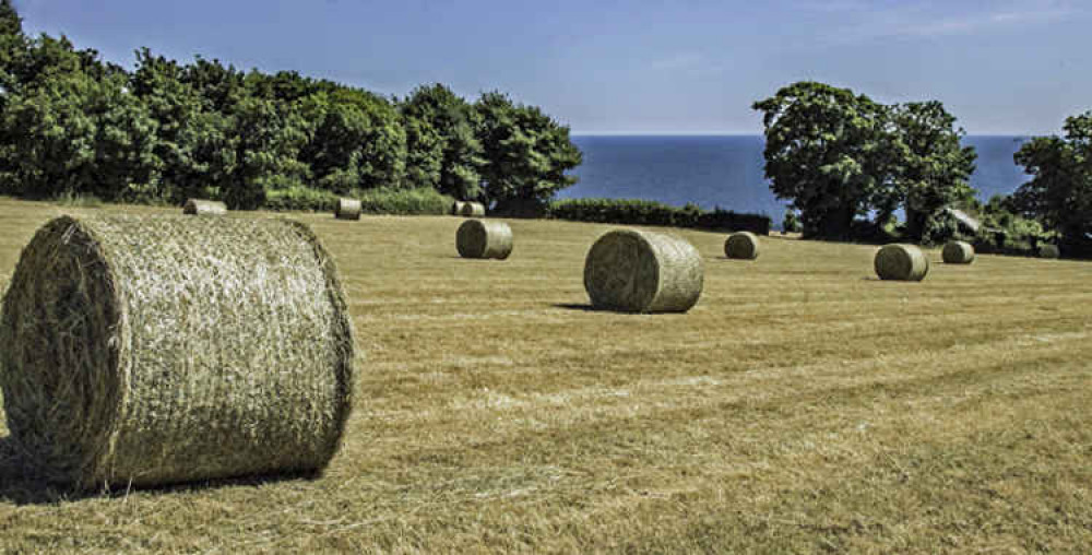 Picture by Teignmouth and Dawlish Ramblers