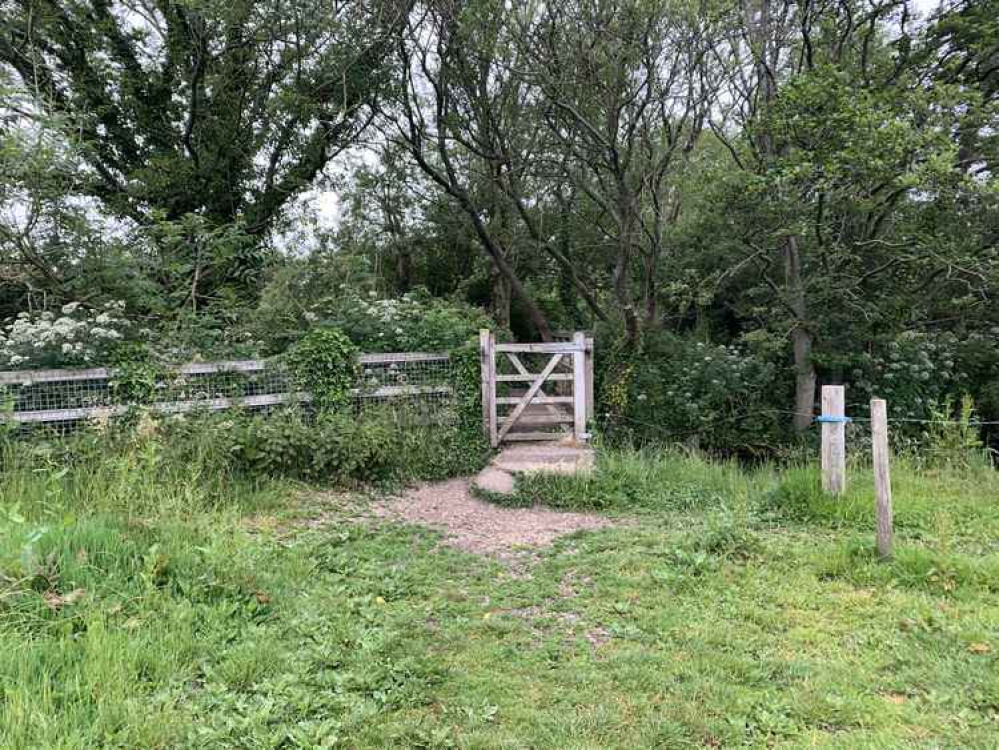 At the end of the field go through the gate and over the bridge