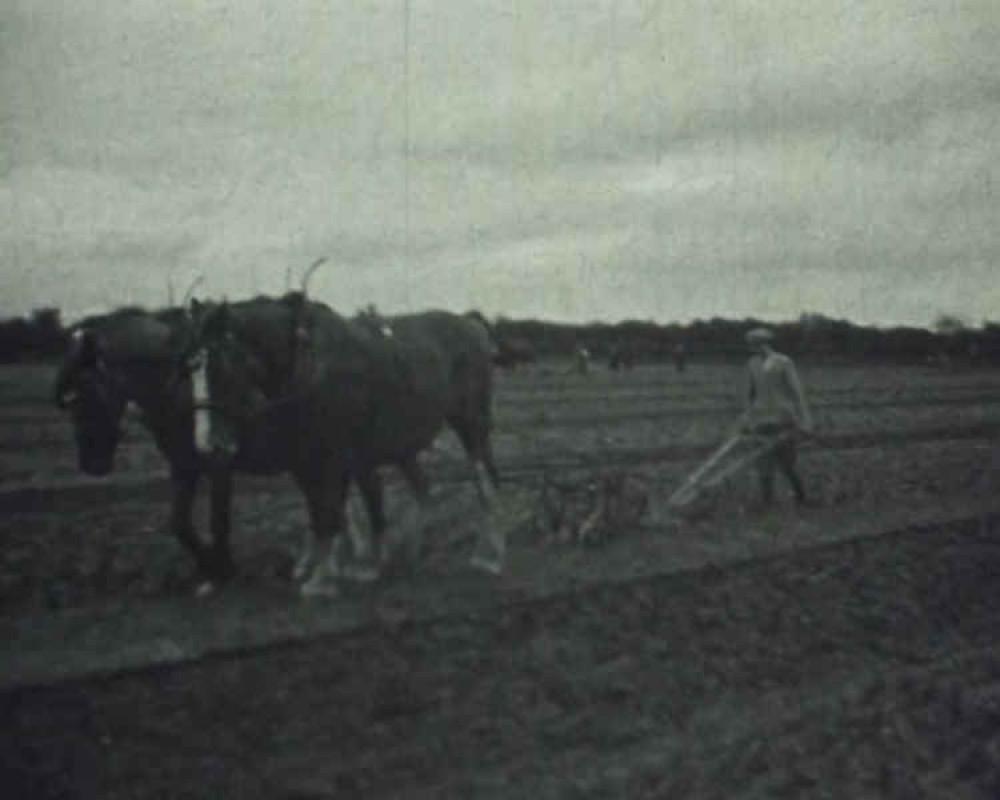 Still from one of the films