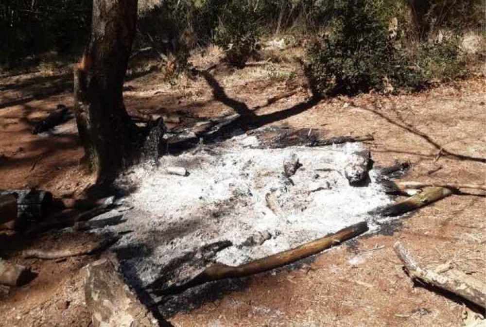 The burnt patch of ground at Bystock nature reserve. Picture: Devon Wildlife Trust