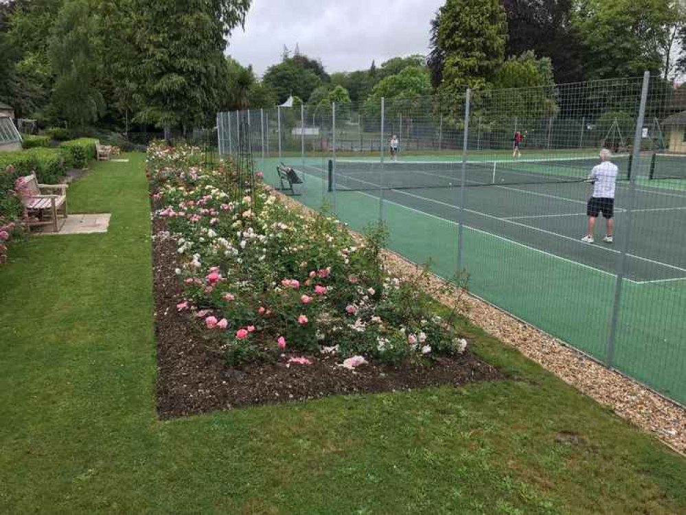 Dorchester Borough Gardens new Writers' Rose Garden Picture: Trevor Bevins