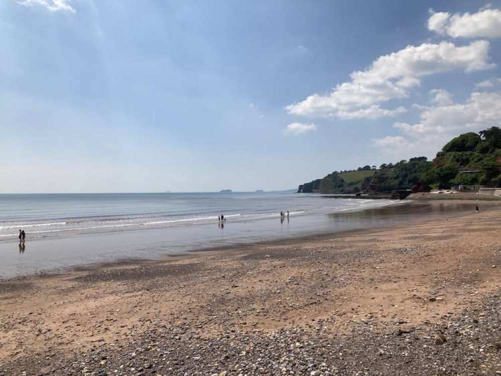 Dawlish Against Plastic has also organised an extra beach clean for Great Big Green Week.