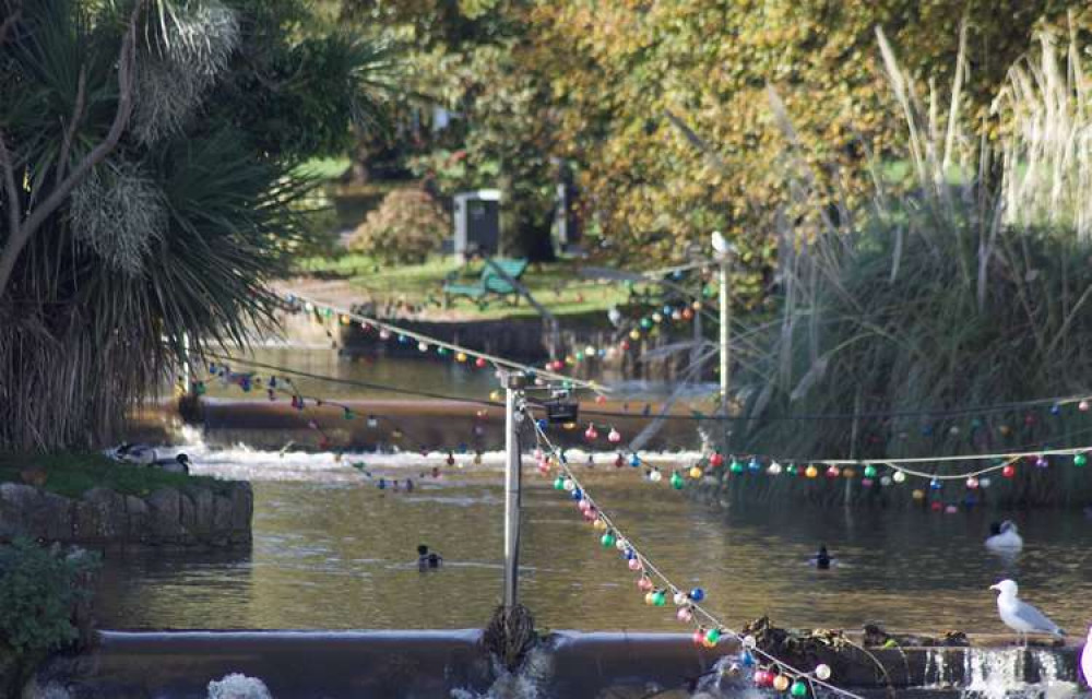 Dawlish Water (Nub News, Will Goddard)