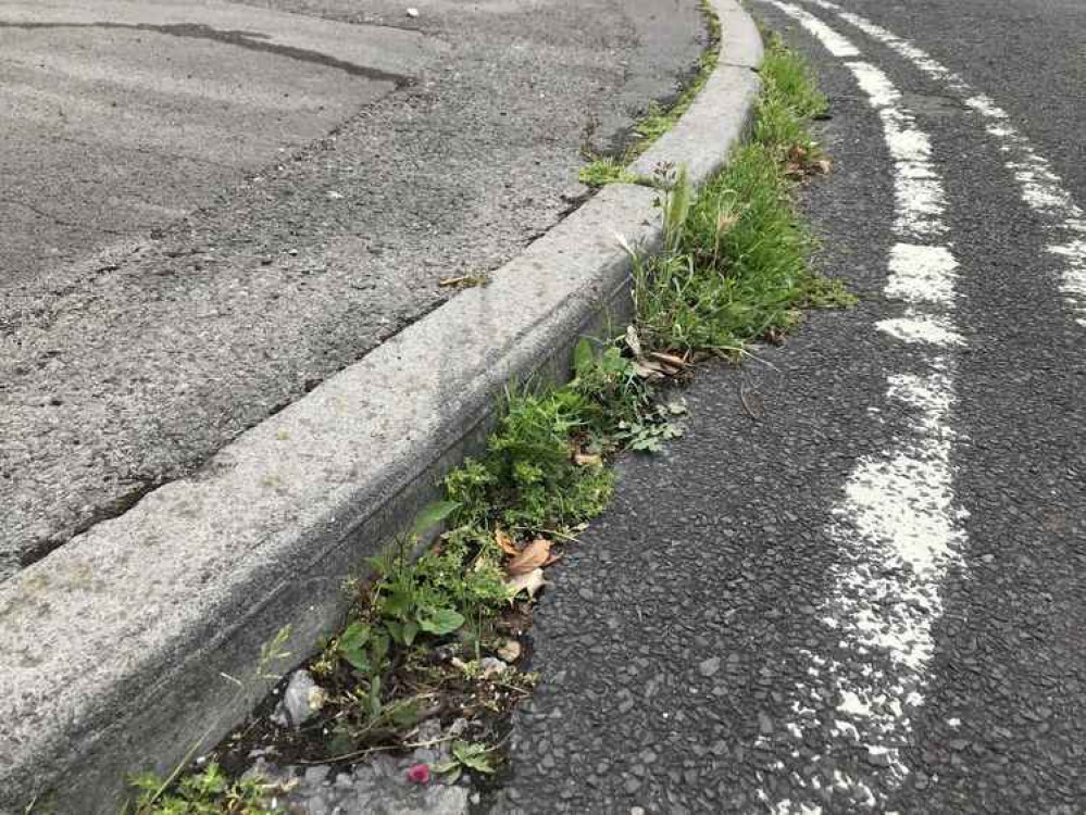 Weeds on pavement edge in Edward Road