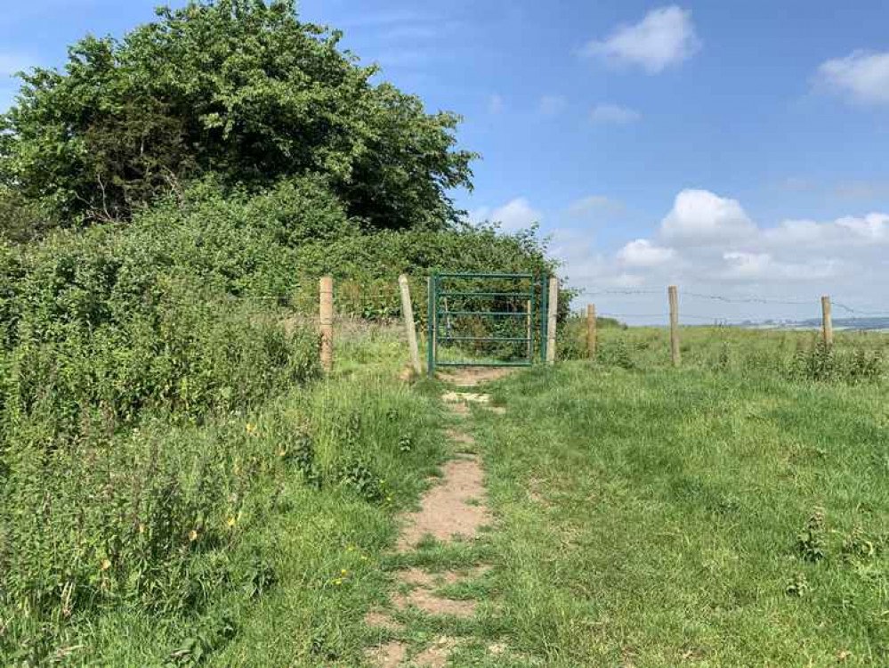 Go through the green gate and keep to the left-hand side as you walk through the field