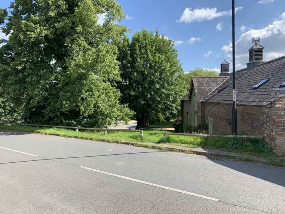 Cross over to the Tolpuddle Martyrs' Tree