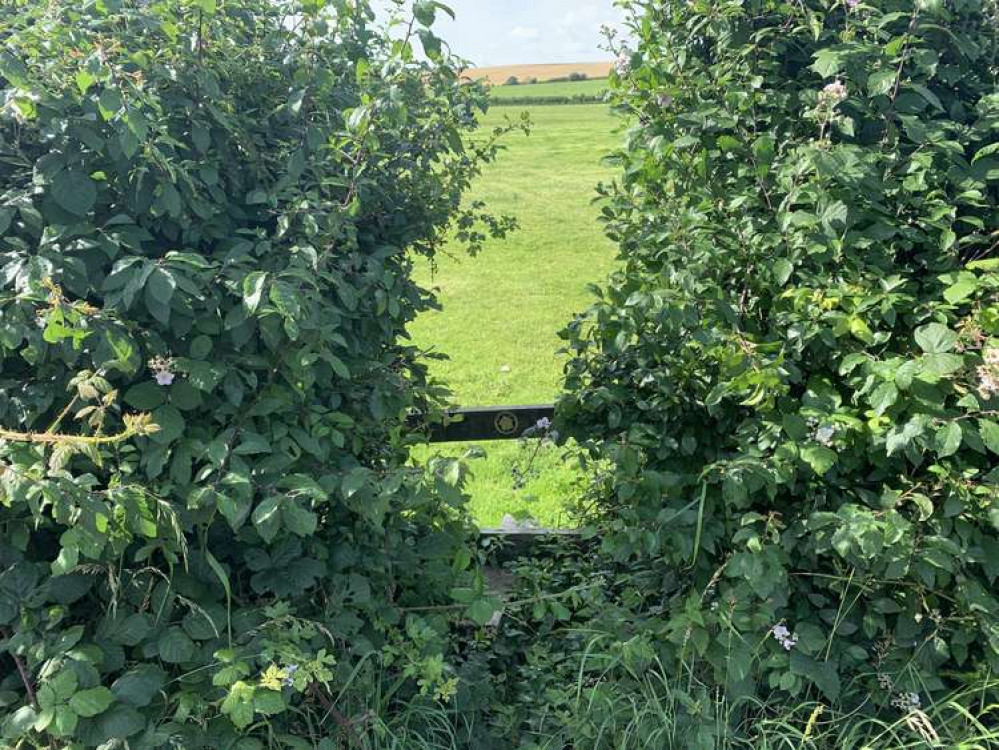 There will be a small gap in the hedge - easy to miss so look out for it - and go over the stile