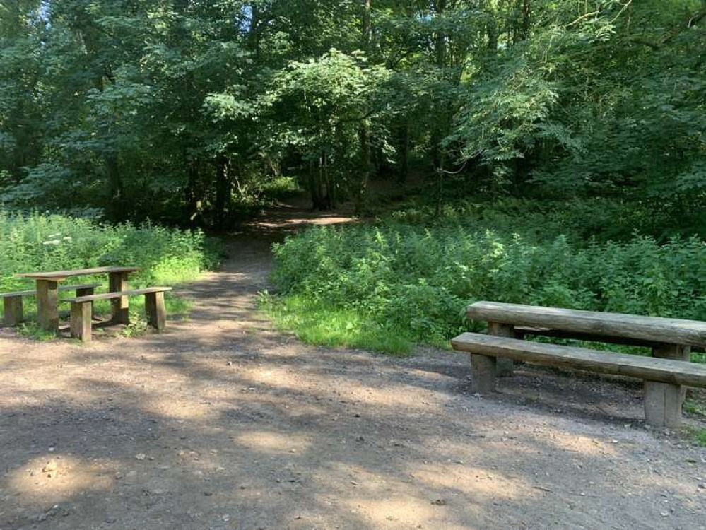 Take the left path between two picnic benches