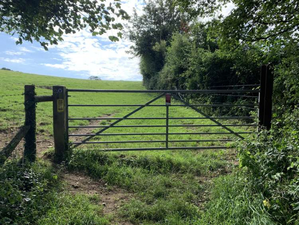 Go through the gate and up the right-hand side of the field