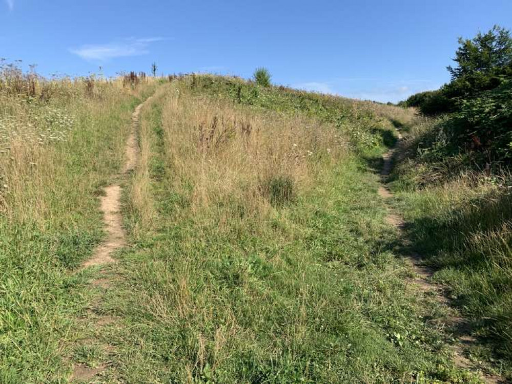 Take the right hand path Take the right hand path