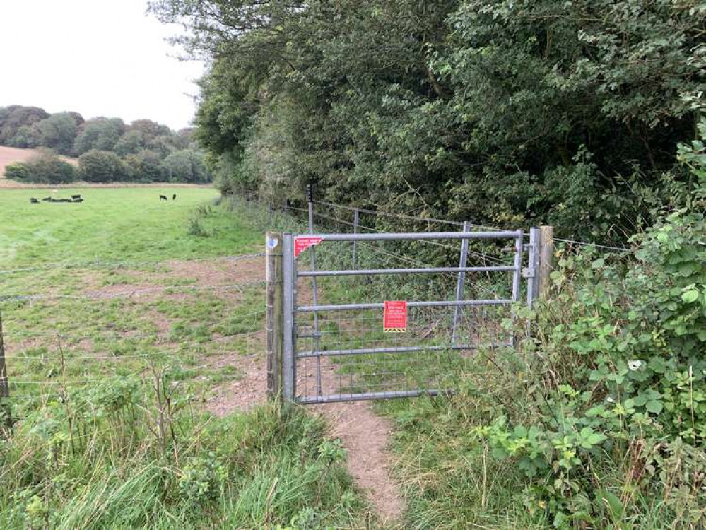 Go through the gate on your right just after the road bridge