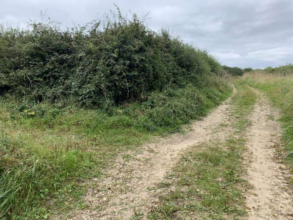 Look out for this opening on your left - around 0.35 miles after the right-hand turn - which has no gate