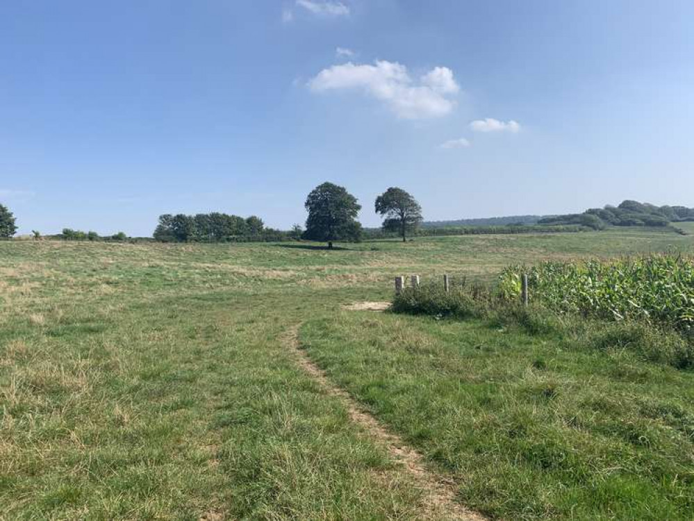 Turn right to go round the corn field