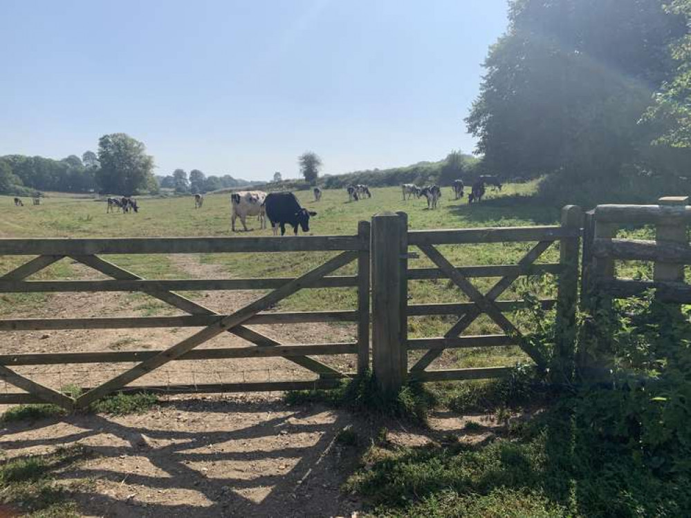 Go through the gate and up the left-hand side of the field