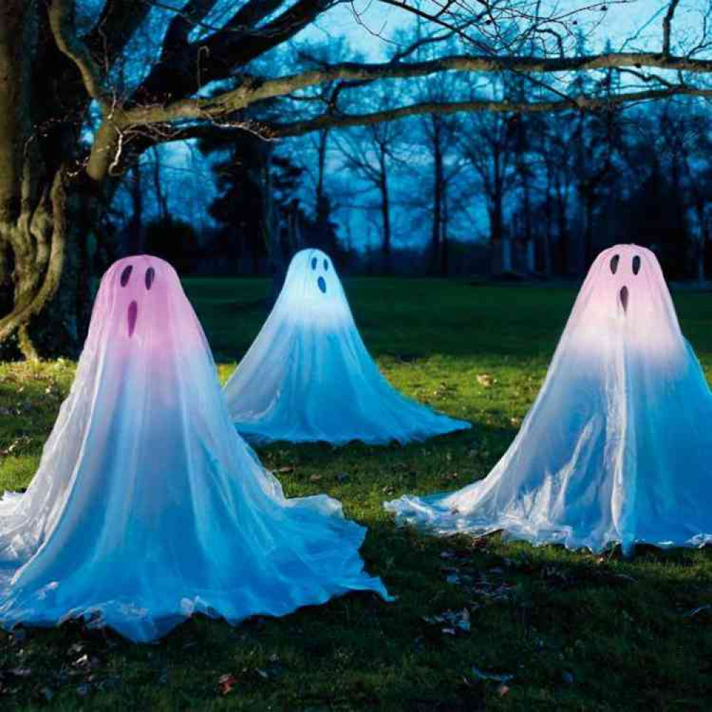 Spooky goings on at Frome Library (see events)