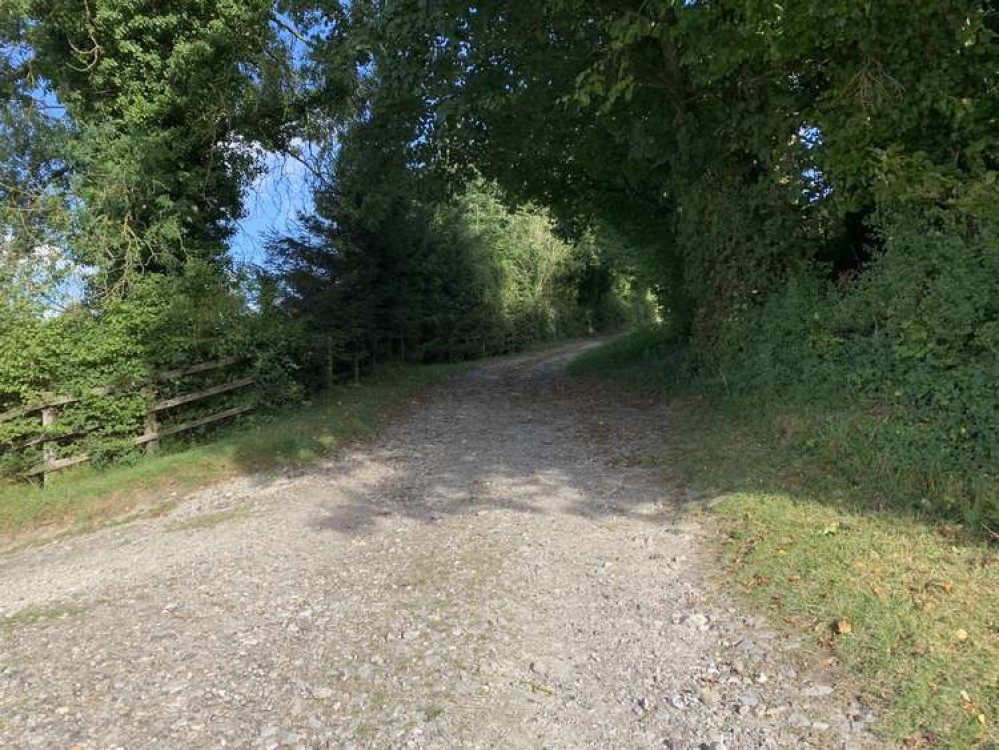 Go towards farm buildings and turn right to follow a track uphill