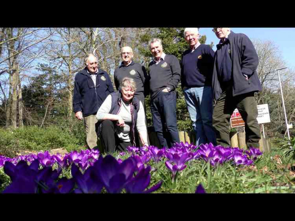 Frome Town has been bathed in purple thanks to the work of the clubs and helpers