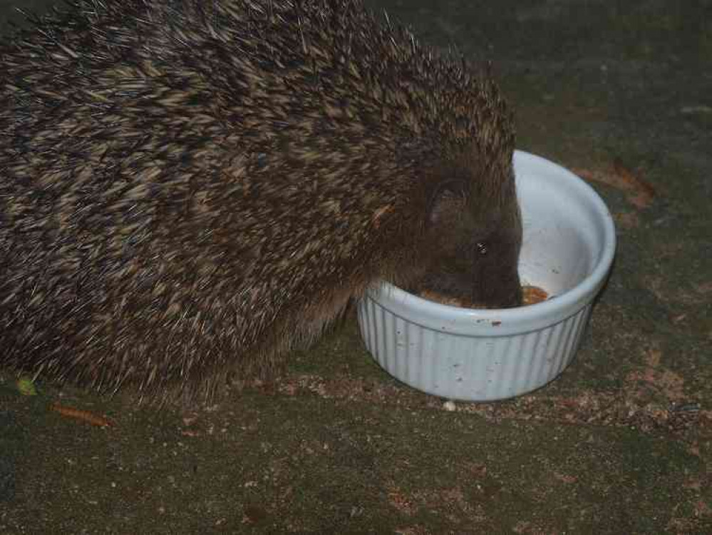 Frome hog Dave getting stuck in