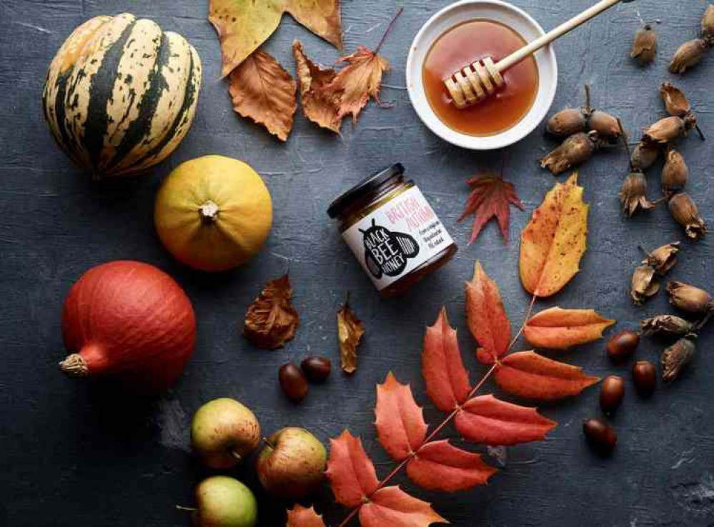 Black Bee Honey sources honey from across Somerset