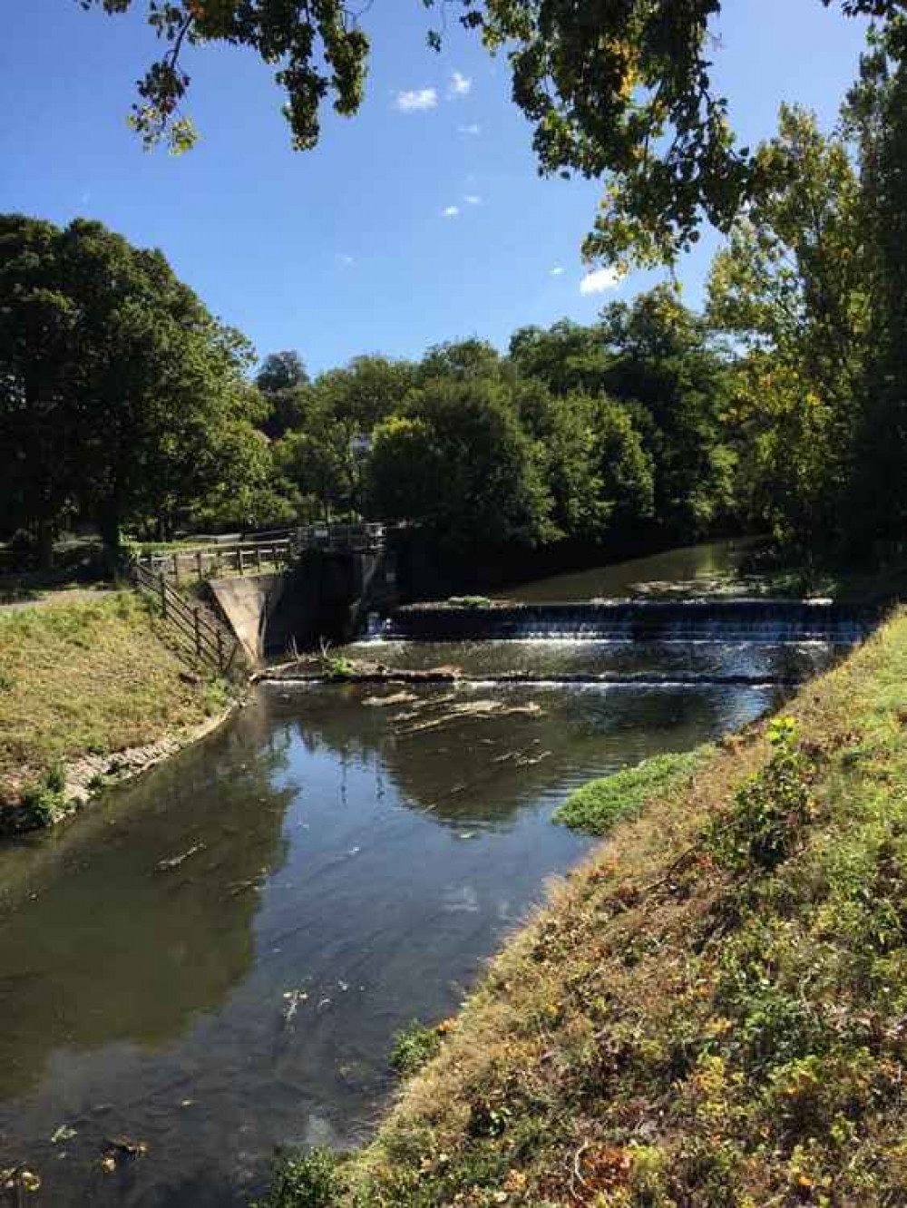 She urges residents to get out and look for themselves at how lovely Frome is She urges residents to get out and look for themselves at how lovely Frome is