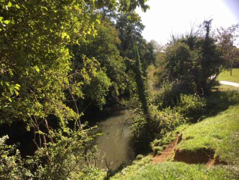 The River Frome in September, just down from Whatcombe Fields The River Frome in September, just down from Whatcombe Fields