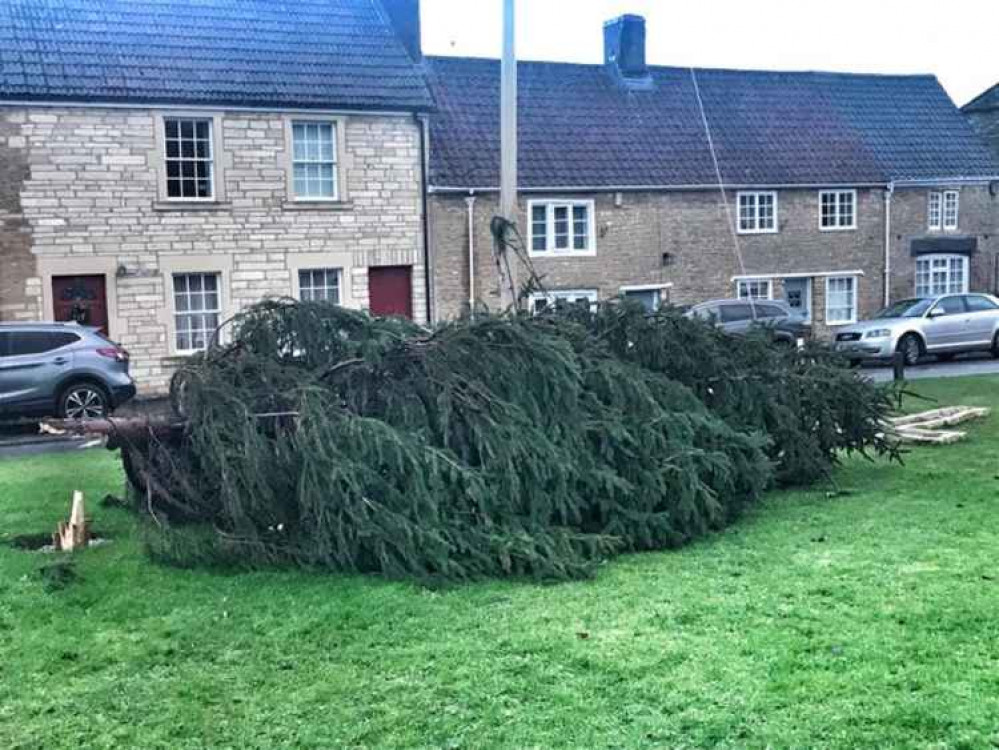 The Christmas Tree in Rode could not withstand the onslaught : Thank you to Lucy Travis for the photo