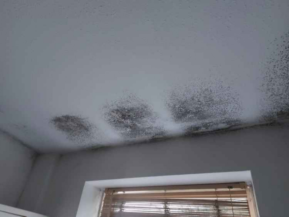Mould patches on a ceiling at a property in Frome January 6 Mould patches on a ceiling at a property in Frome January 6