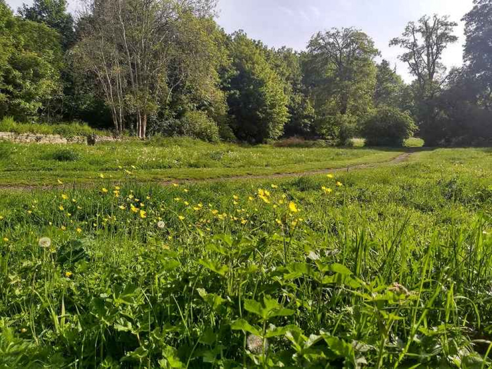 Rodden Meadow