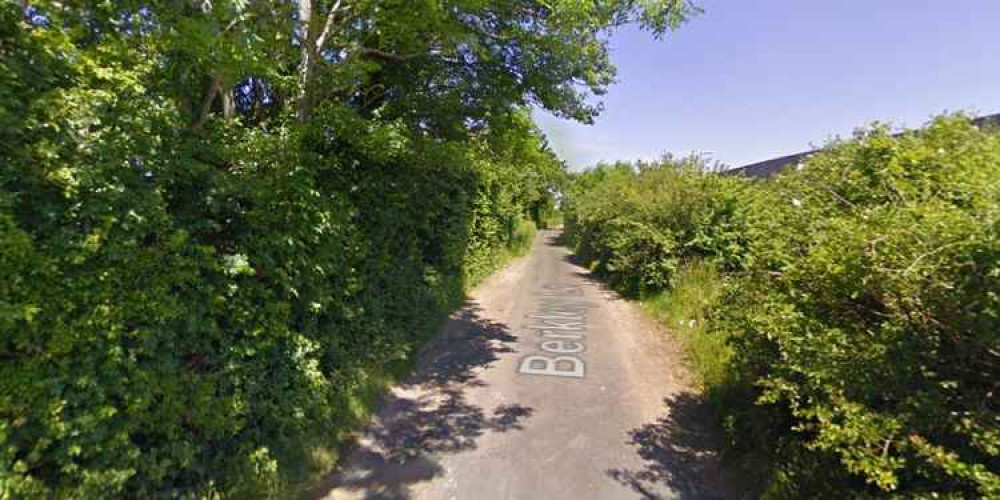 Section of Berkley Lane in Frome (Photo: Google Maps)