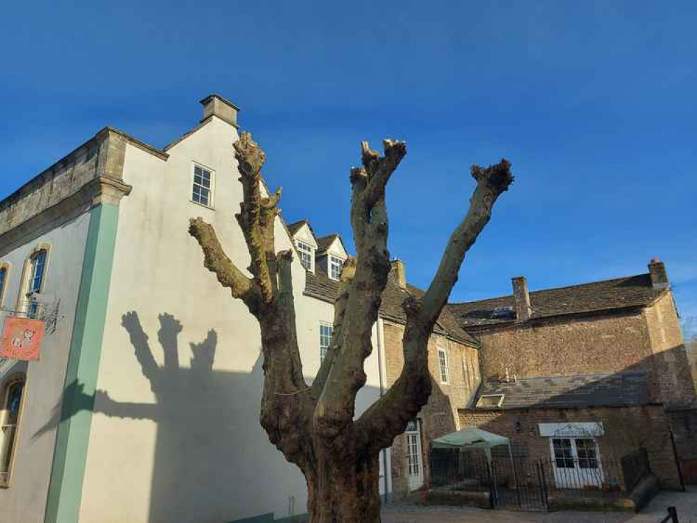 A sunny Frome along King Street on February 23