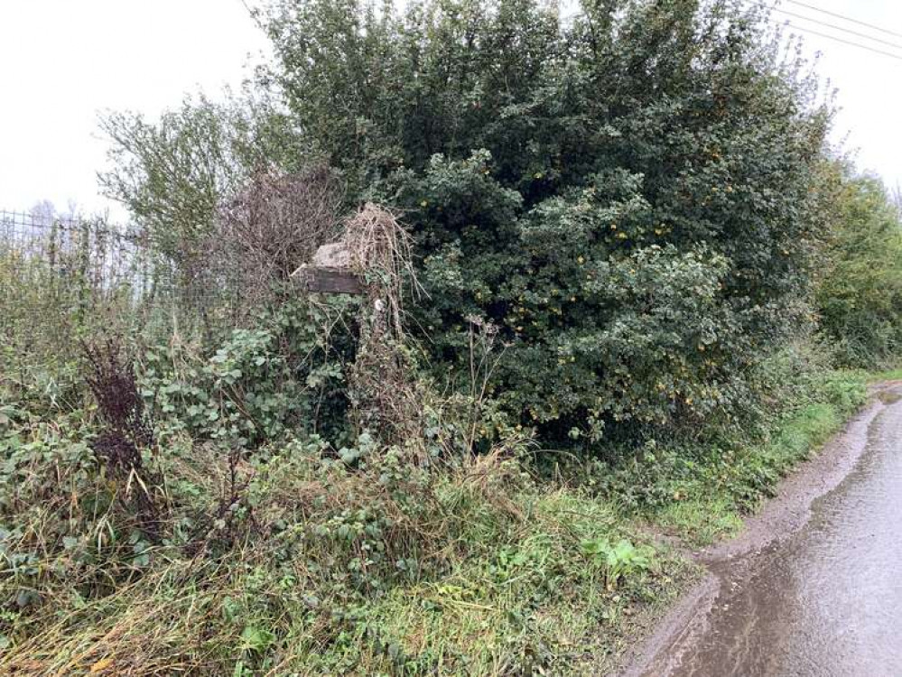 Turn left down a footpath past a green fence